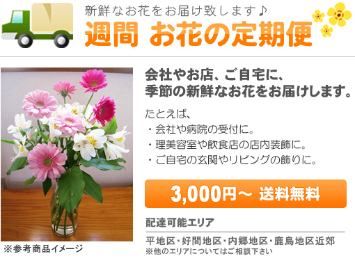 週間お花の定期便