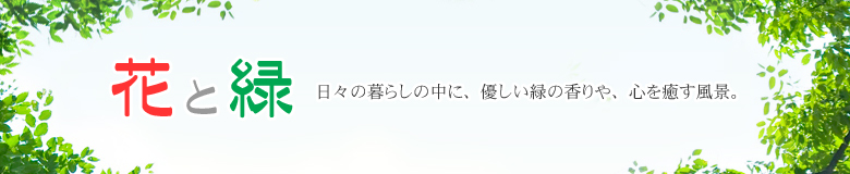 花と緑のある生活を提案いたします。